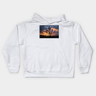 The Spirit of the Staithes at sunrise Kids Hoodie